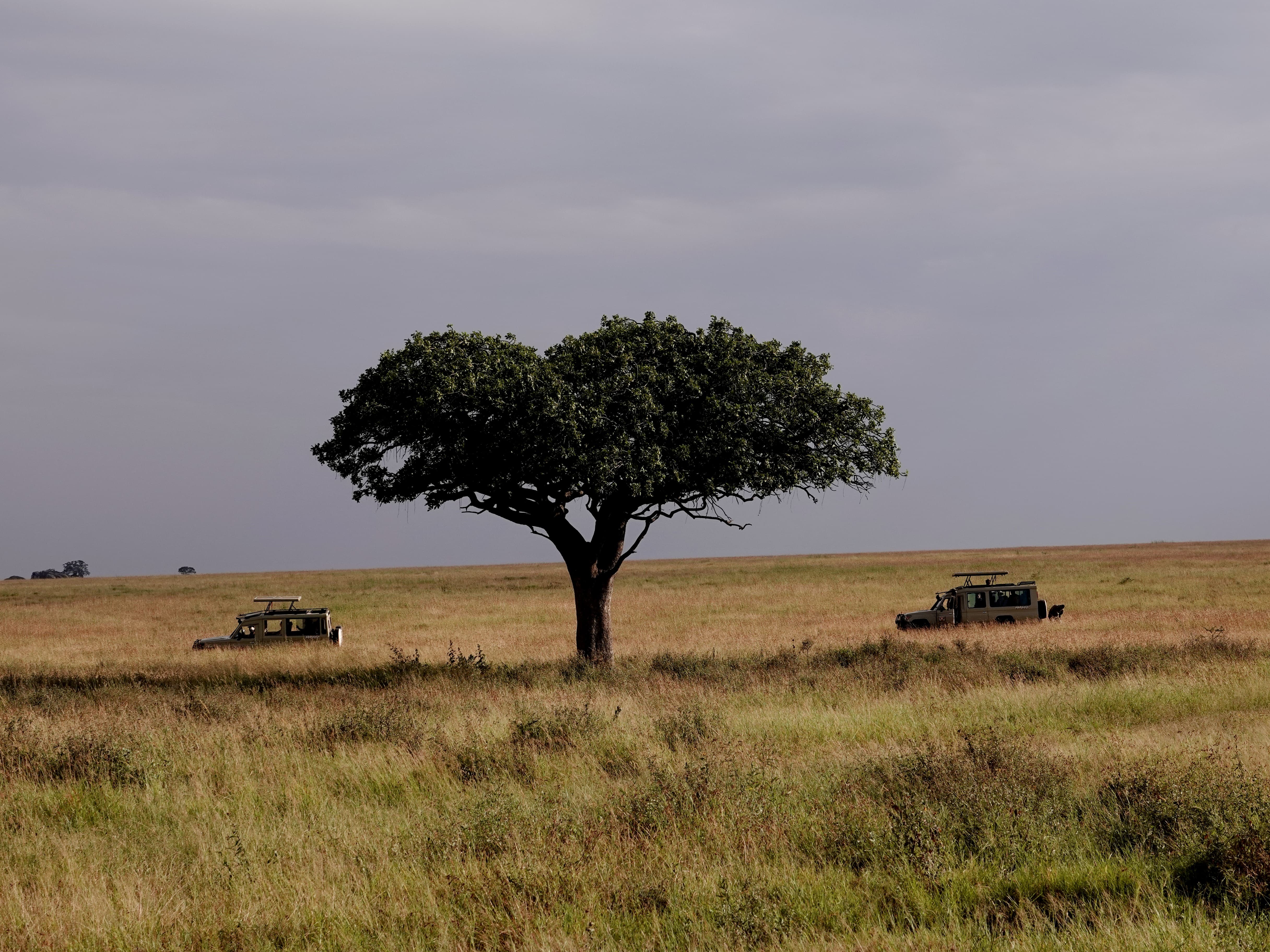 Tanzania 8 Days Family Safari